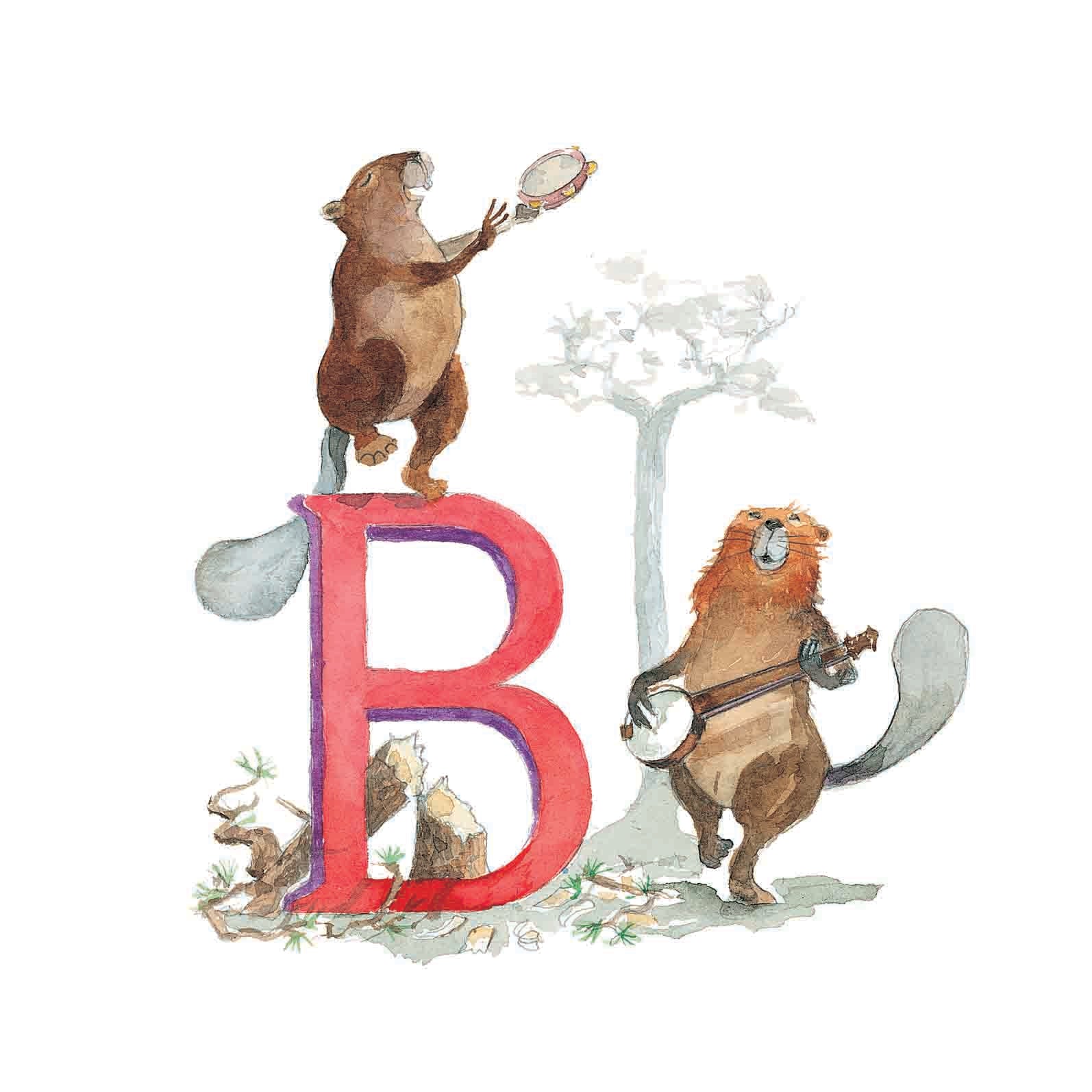 B for Beaver