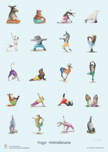 Animo's Yoga Collection