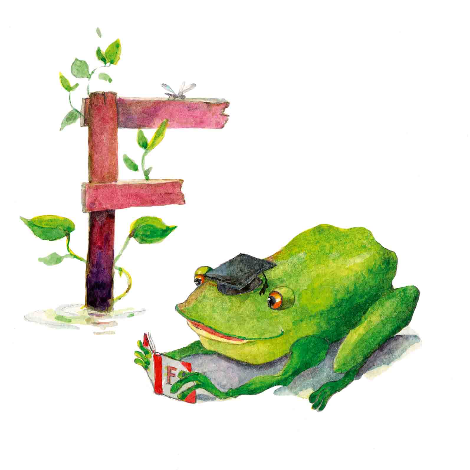 F for Frog