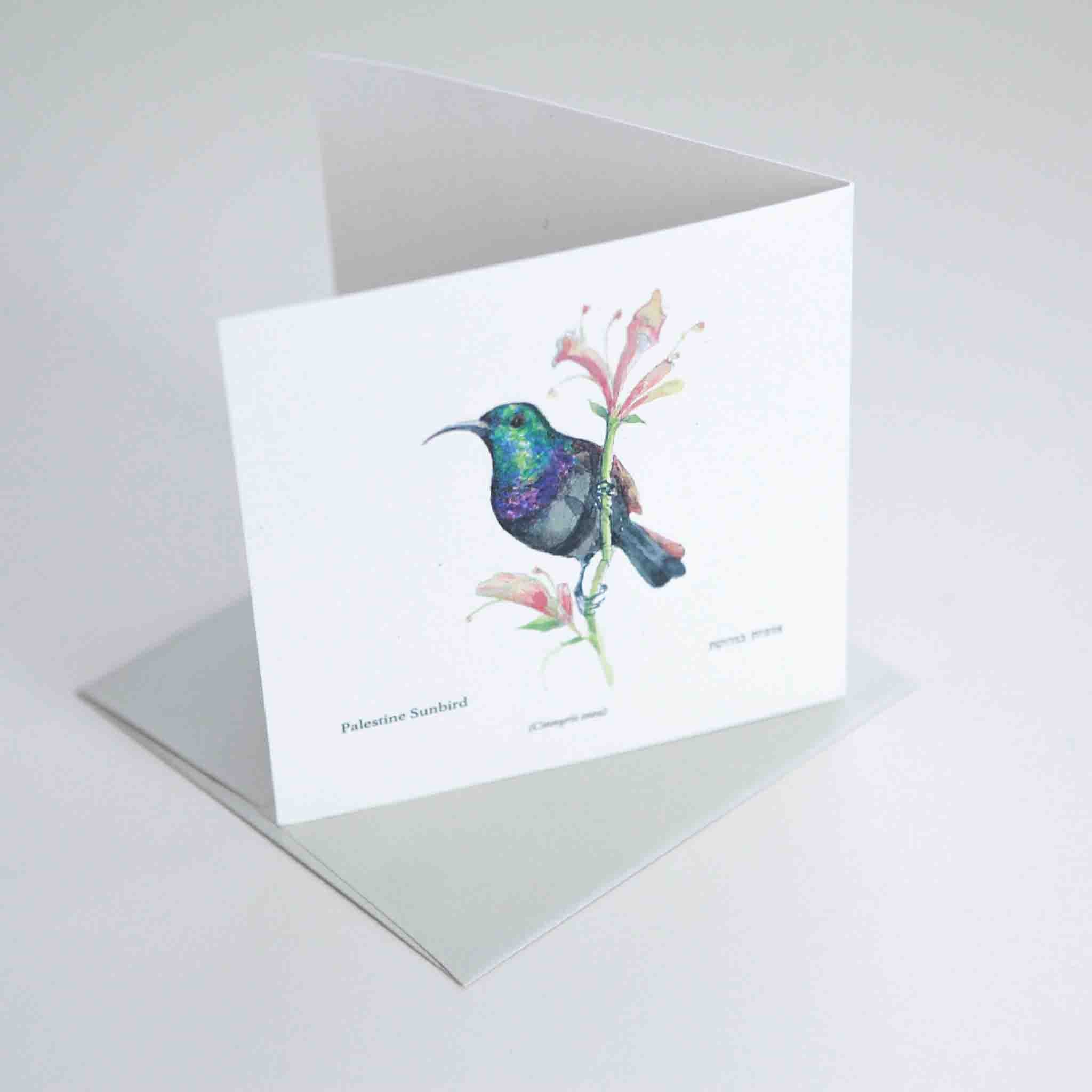 Palestine Sunbird Greeting card