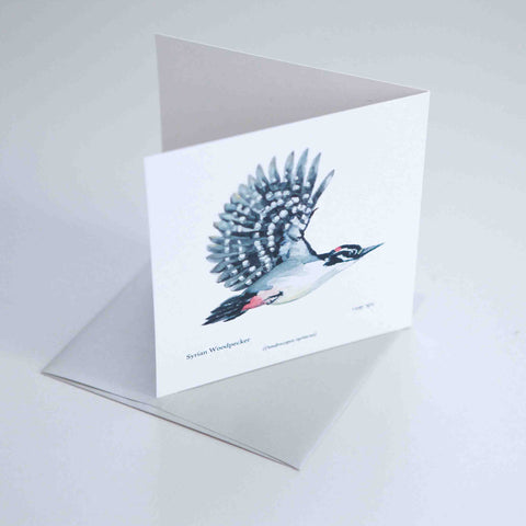 Syrian Woodpecker Greeting card