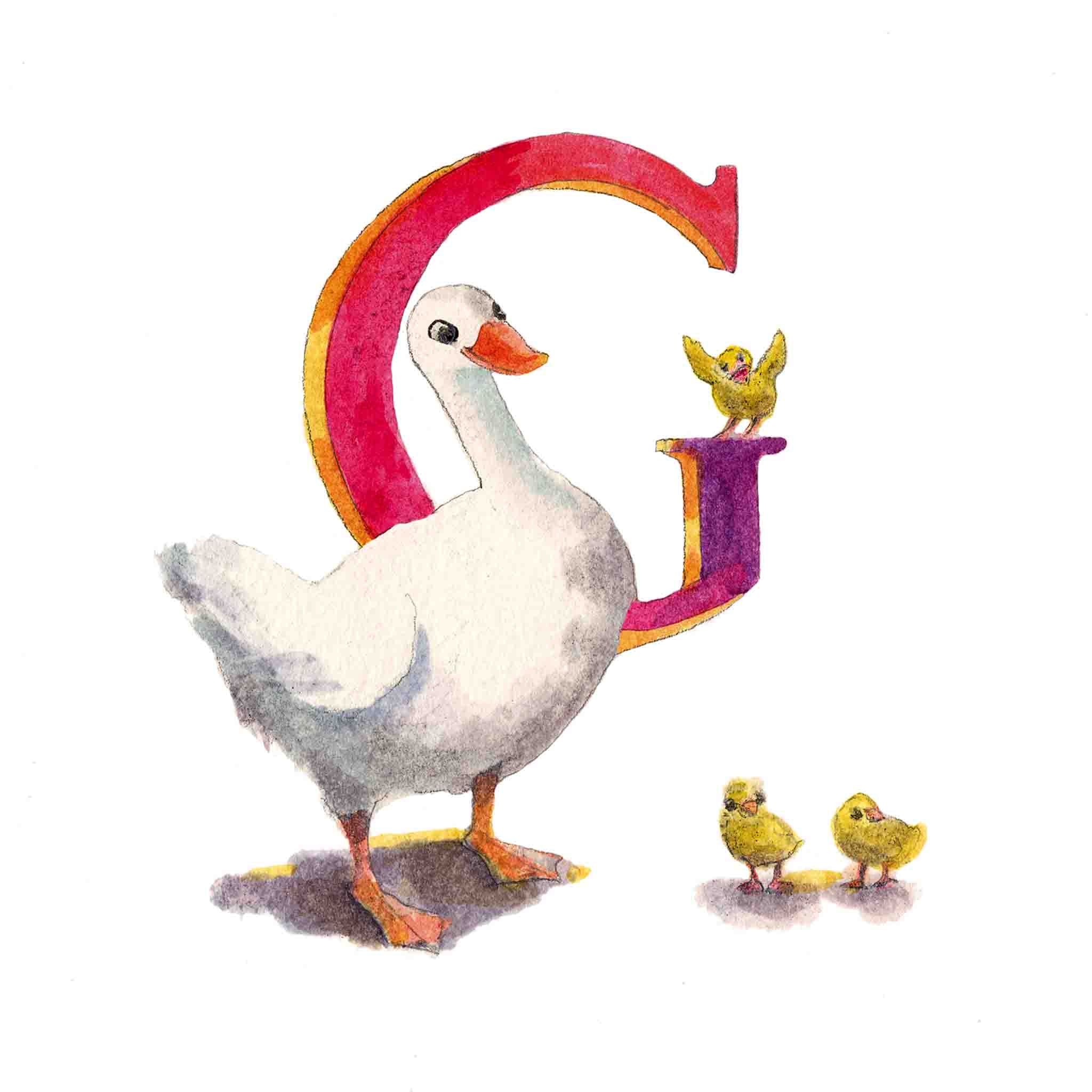 G for Goose
