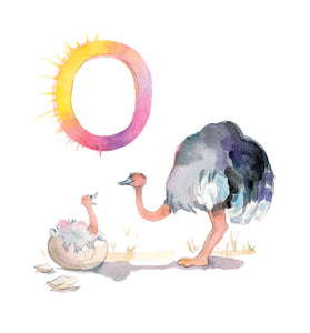 O for Ostrich