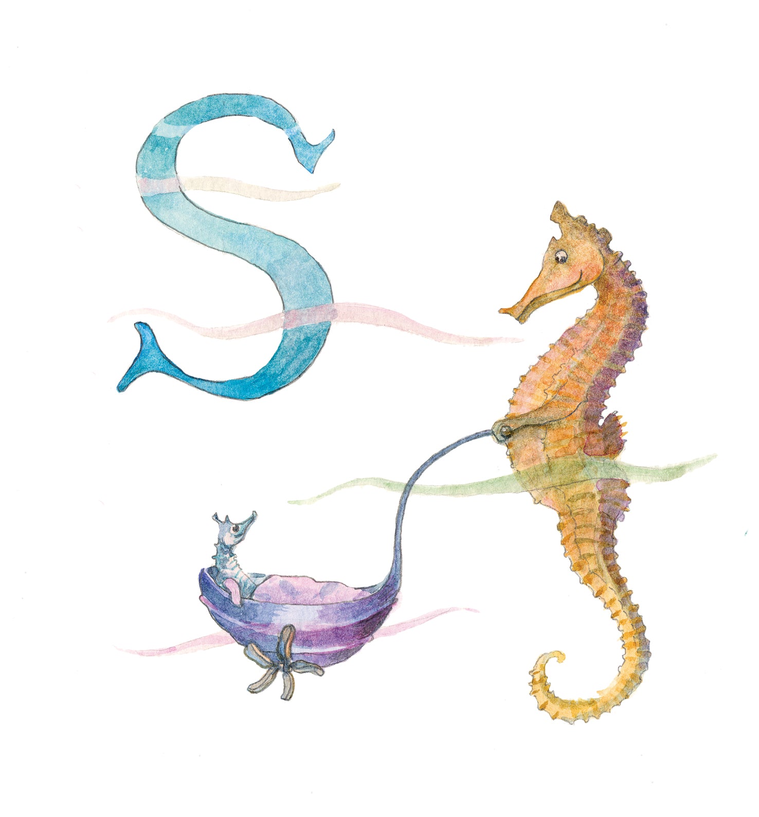 S for Seahorse